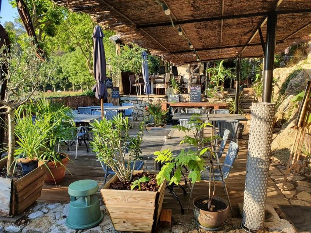 La terrasse arborée du Tempo : pergola, plantes en pots, tables dressées et sculptures